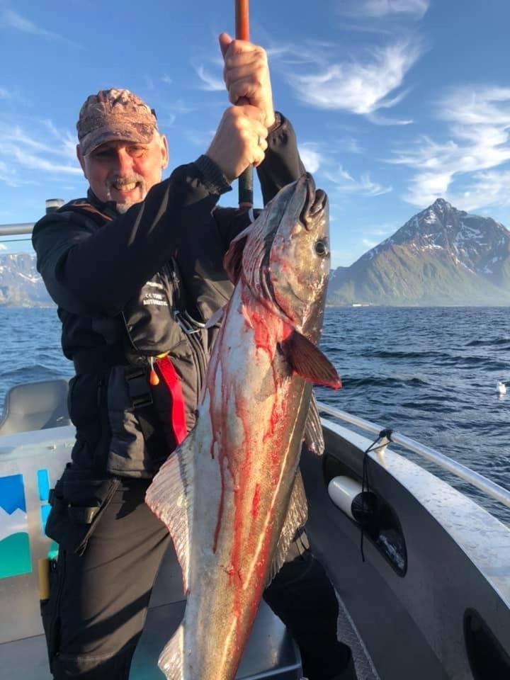 Lofoten Glampingdome Myrland Eksteriør bilde