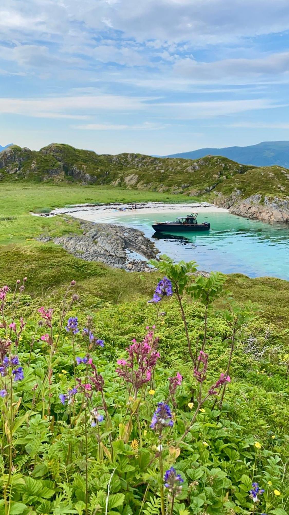Lofoten Glampingdome Myrland Eksteriør bilde